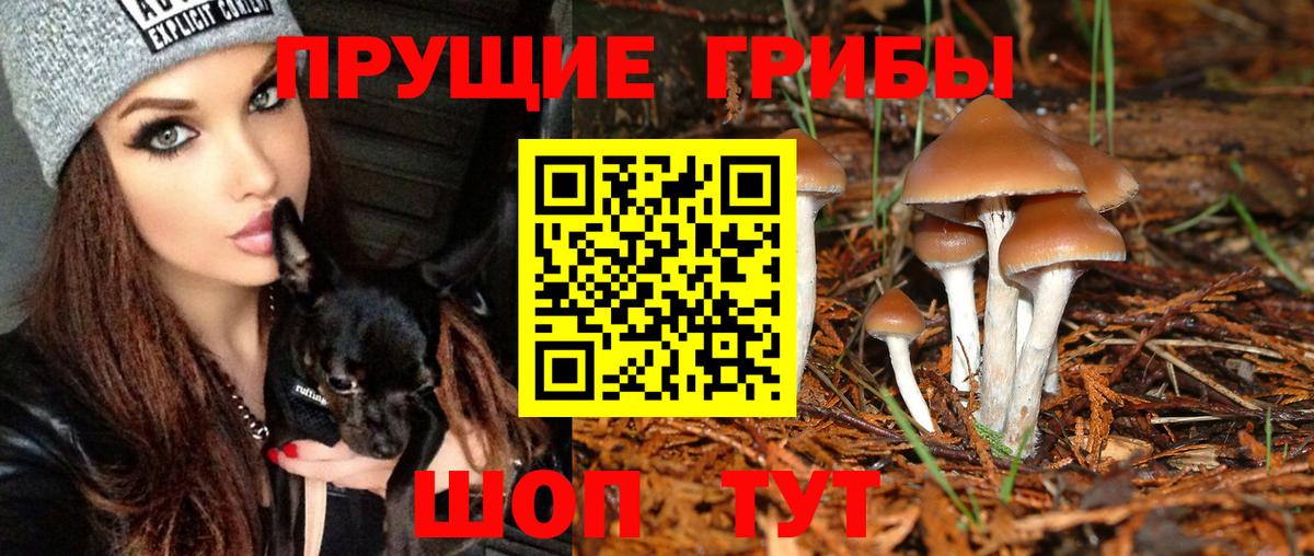 Новый Уренгой  Псилоцибиновые грибы Cubensis  Галлюциногенные грибы Magic Shrooms  Вход с VPN 